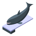 ballena icon