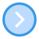 flecha correcta icon