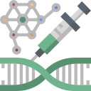 estructura del adn 