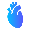 corazón icon