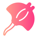 manta raya icon