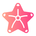 estrella de mar icon