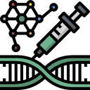 estructura del adn