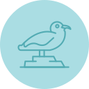 gaviota icon