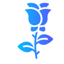 rosas icon