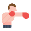 boxeo icon