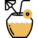 bebida de coco icon