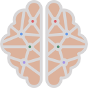 cerebro humano