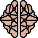 cerebro humano