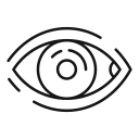 ojo icon