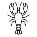 Тонкий icon