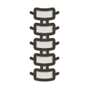 columna vertebral icon