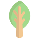 naturaleza icon