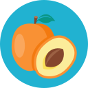 fruta icon