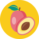 fruta icon