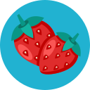 fresa icon