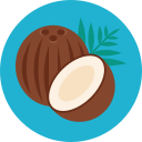 coco icon