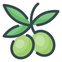 Фрукты icon
