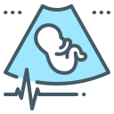 fetal icon