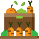 Carrot icon