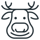 animal icon