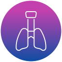 pulmones icon