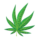 medizin 