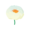 자연 