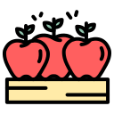 fruta de manzana icon