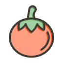 tomate icon