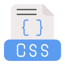 css 