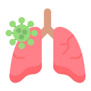 pulmones icon