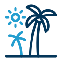 palmera icon