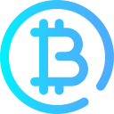 bitcoin icon