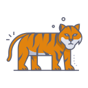 tigre icon