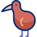 kiwi animated icon