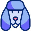 caniche icon