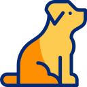 perro perdiguero de oro icon