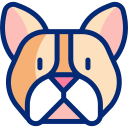 bulldog francés animated icon