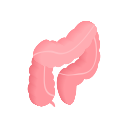 colon icon