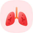 pulmones 