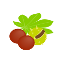 fruta icon