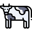 vaca icon