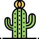 cactus icon