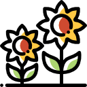 girasol icon