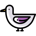 pato icon