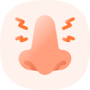 sinusitis icon