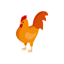 pollo icon