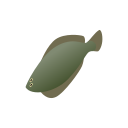 Море 