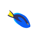 mer 
